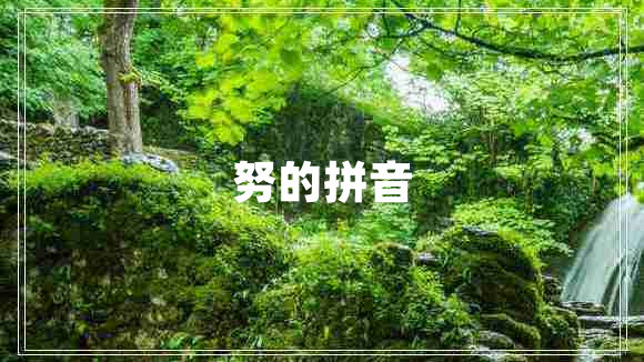 努的拼音