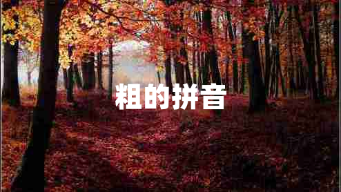 粗的拼音