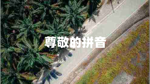 尊敬的拼音