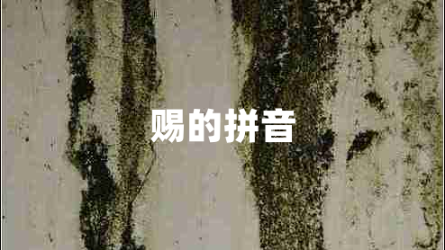 賜的拼音