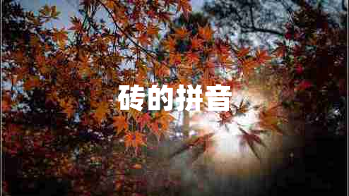磚的拼音