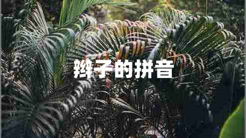 辮子的拼音