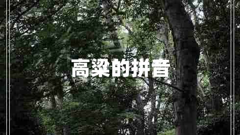 高粱的拼音