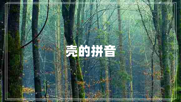 殼的拼音
