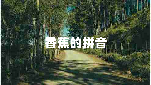香蕉的拼音