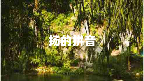 揚的拼音