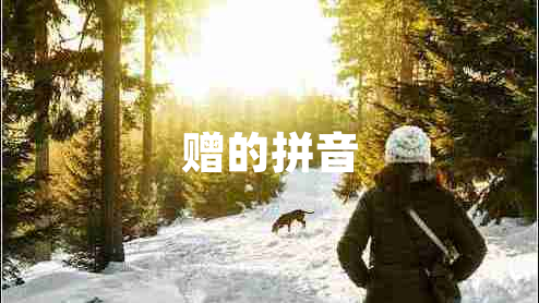 贈的拼音