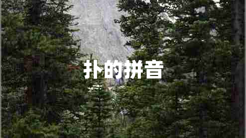 撲的拼音
