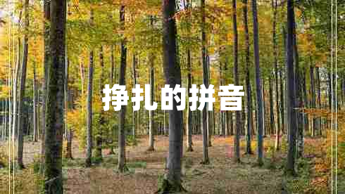 掙扎的拼音