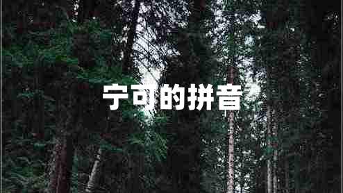 寧可的拼音