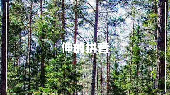 伸的拼音