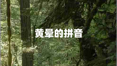 黃暈的拼音
