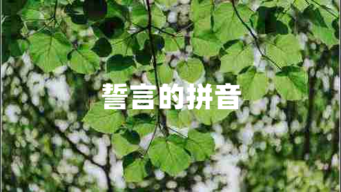 誓言的拼音