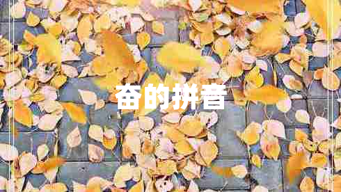 奮的拼音
