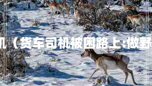 吃播貨車(chē)司機（貨車(chē)司機被困路上:做野餐直播走紅）