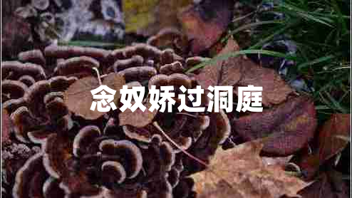念奴嬌過(guò)洞庭