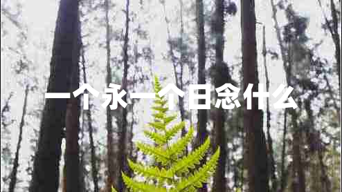一個(gè)永一個(gè)日念什么
