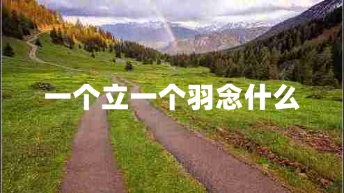 一個(gè)立一個(gè)羽念什么