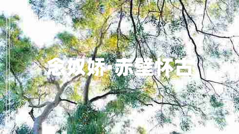 念奴嬌·赤壁懷古