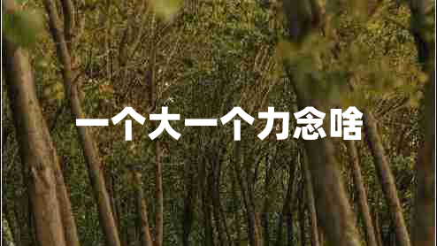 一個(gè)大一個(gè)力念啥