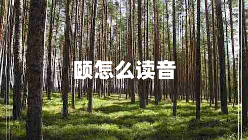 頤怎么讀音