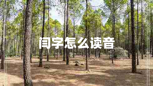 閆字怎么讀音