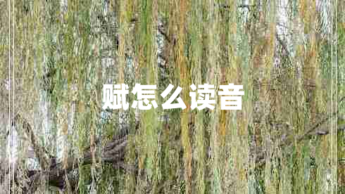 賦怎么讀音