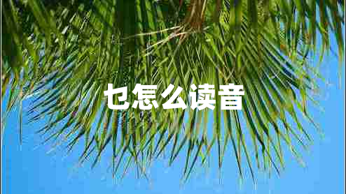 乜怎么讀音