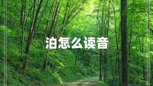 泊怎么讀音