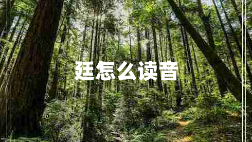 廷怎么讀音