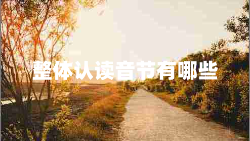 整體認讀音節有哪些