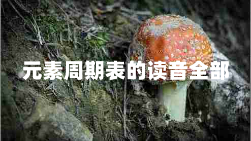 元素周期表的讀音全部