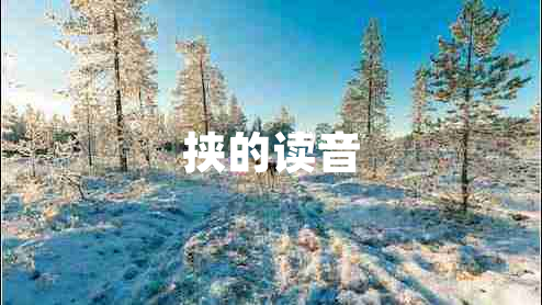 挾的讀音