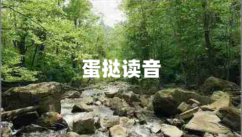 蛋撻讀音