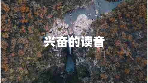 興奮的讀音