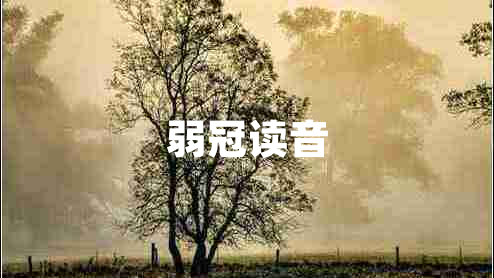 弱冠讀音