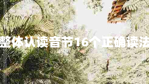 整體認讀音節16個(gè)正確讀法