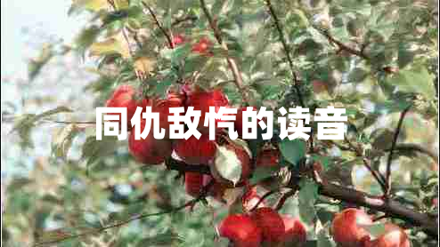同仇敵愾的讀音