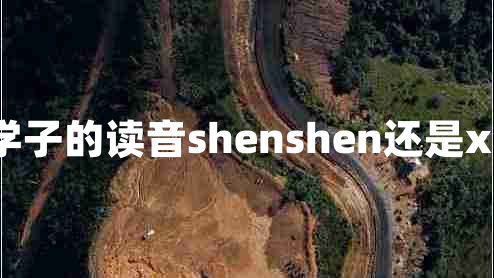 莘莘學(xué)子的讀音shenshen還是xinxin