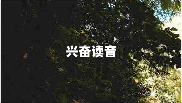 興奮讀音