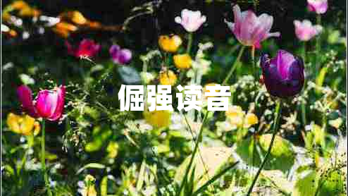 倔強讀音
