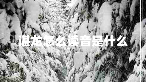 諶龍怎么讀音是什么