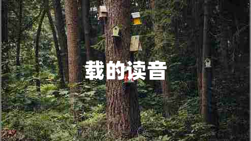 載的讀音