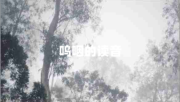 嗚咽的讀音