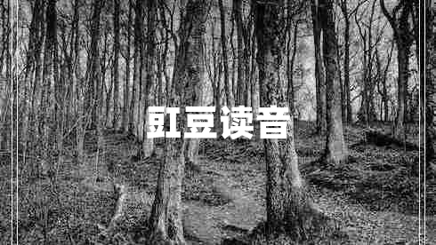 豇豆讀音