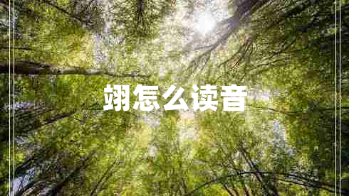 翊怎么讀音