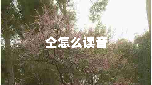 仝怎么讀音