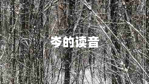 岑的讀音
