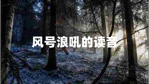 風(fēng)號(hào)浪吼的讀音