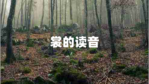 裳的讀音